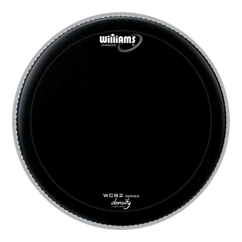 WILLIAMS WCB2-10MIL-22